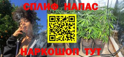 сатива Бугуруслан